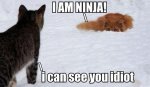 I Am Ninja.jpg
