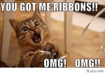 animal-funny-cat-pictures-with-captions-13-48-funny-cat-pictures-with-captions.jpg
