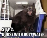 animal-funny-cats-pictures-with-captions-7-19-funny-cats-pictures-with-captions.jpg