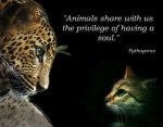 Animals-share-with.jpg
