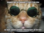 c724e_funny-pictures-cat-is-john-lennon.jpg