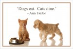 Cats Dine.jpg