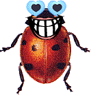 animated-gifs-ladybugs-07.gif