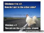 chicken1.jpg