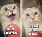 funny-cat-killing-guy-human1.jpg