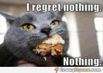 cat-regrets-nothing-fat-full-mouth-funny-picture.jpg