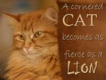 Cat-Lion (2).jpg