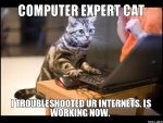 Computer Expert Cat.jpg