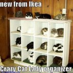 Cat Organizer.jpg