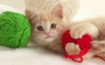 Yarn Kitten.jpg