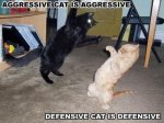 Aggressive, Defensive.jpg
