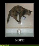 nope_cat_bathtub.jpg