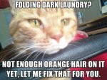 laundry hair.jpg