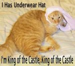 castle king.jpg