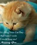 Hug Your Cat Day.png