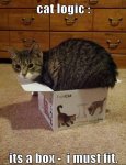 cat box logic.jpg