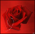 Special Glitter Rose1.gif