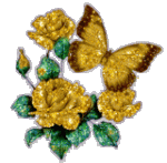 rose of gold-butterfly.gif