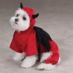 99024550-260x260-0-0_Casual+Canine+Casual+Canine+Devil+Dog+Costume+Dog+.jpg