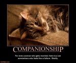 companionship-cat-marriage-failure-meh-demotivational-posters-1323640099.jpg
