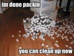 Clean-up Cat.jpg
