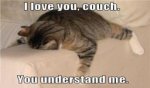funny-cat-pictures-with-captions-tumblr-1191.jpg