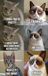 funny-cats-captions.jpg