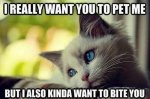 funny-images-cats-captions-7.jpg