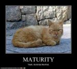 funny-pictures-cat-is-immature.jpg