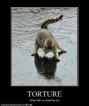 funny-pictures-cat-is-tortured-by-fish.jpg