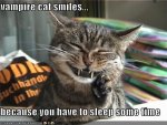 funny-pictures-happy-vampire-cat.jpg