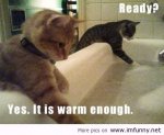 funny-pictures-of-animals-with-funny-sayings-61.jpg