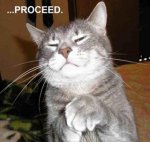 Funny-Pictures-of-Cats-With-Captions-evil-cat-with-its-evil-plan.jpg