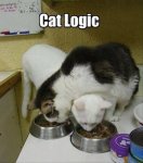 Cat Logic.jpg