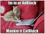 CatBlock.jpg