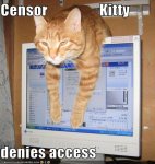 Censor Kitty.jpg