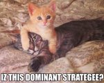 Dominant Strategy.jpg