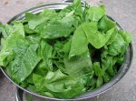 800px-Spinach_leaves.jpg