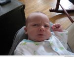 angry-baby-faces-27452-hd-wallpapers.jpg