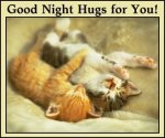 cat-good-night-images-4.jpg