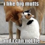 I Like Big Mutts.jpg