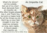 Impolite Cat.jpg