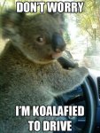 Koalafied.jpg