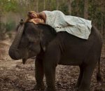 elephant and woman.jpg