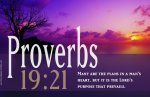 Proverbs 19v21.jpg