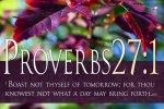 Proverbs27v1.jpg