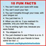 10-fun-facts.jpg