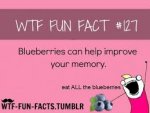 blueberry memories.jpg