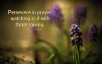 col4-2-persevere-in-prayer-with-thanksgiving.jpg