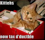 tax-deductible kitties.jpg